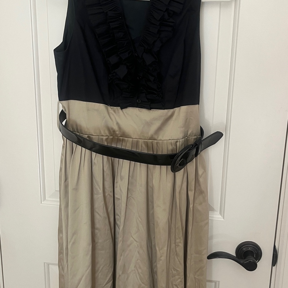 Elegant Black and Tan Dress